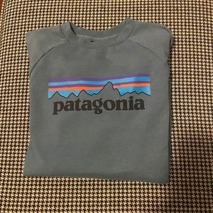 Patagonia sweatshirt